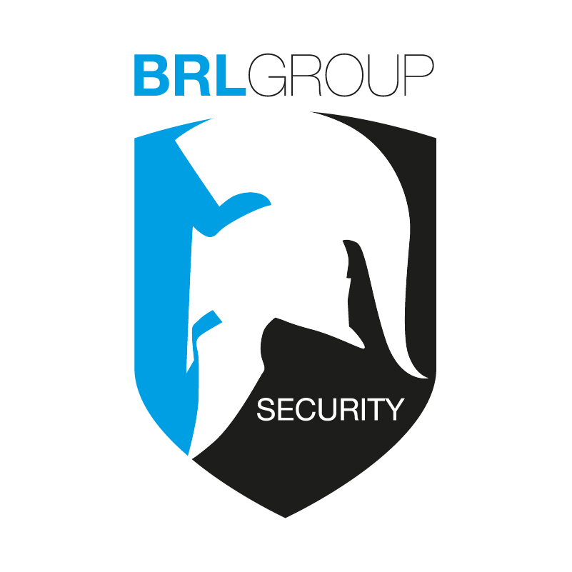 Sicherheit Logo Design Grafik