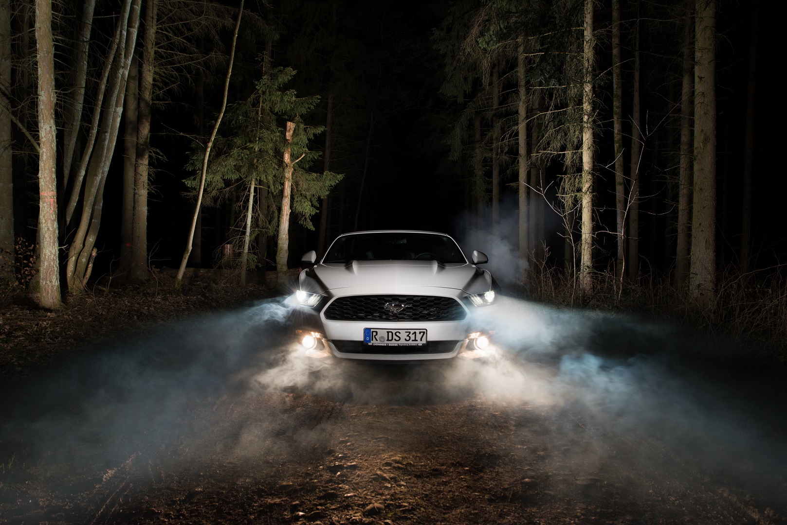 Ford Mustang Auto Weiß Nebel Wald Regensburg